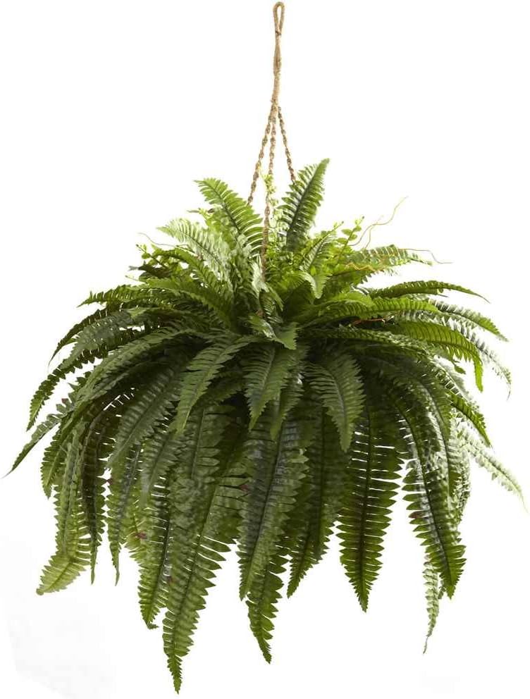 6788 Double Giant Boston Fern Hanging Basket,Green