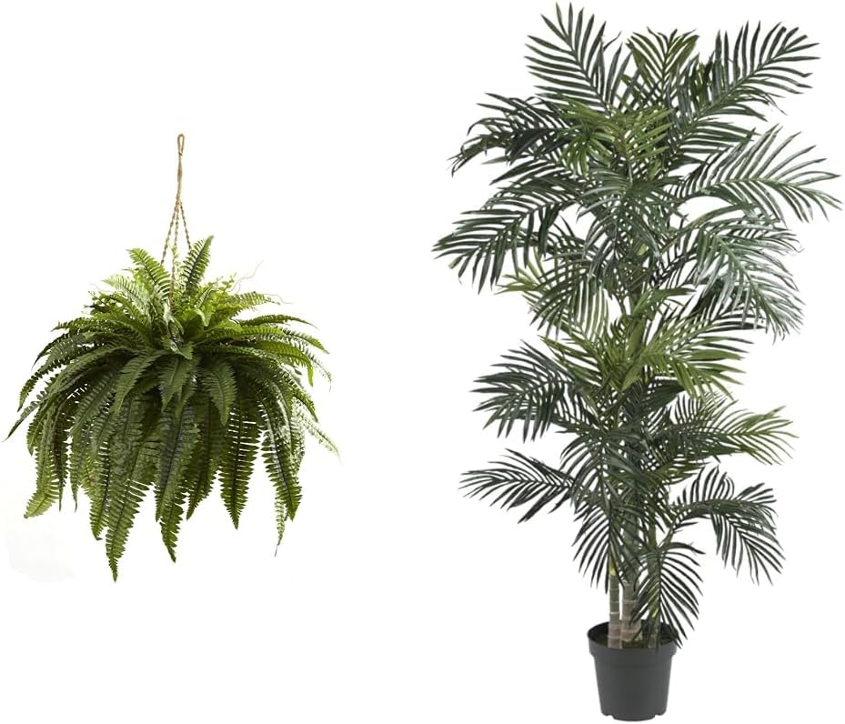 6788 Double Giant Boston Fern Hanging Basket,Green