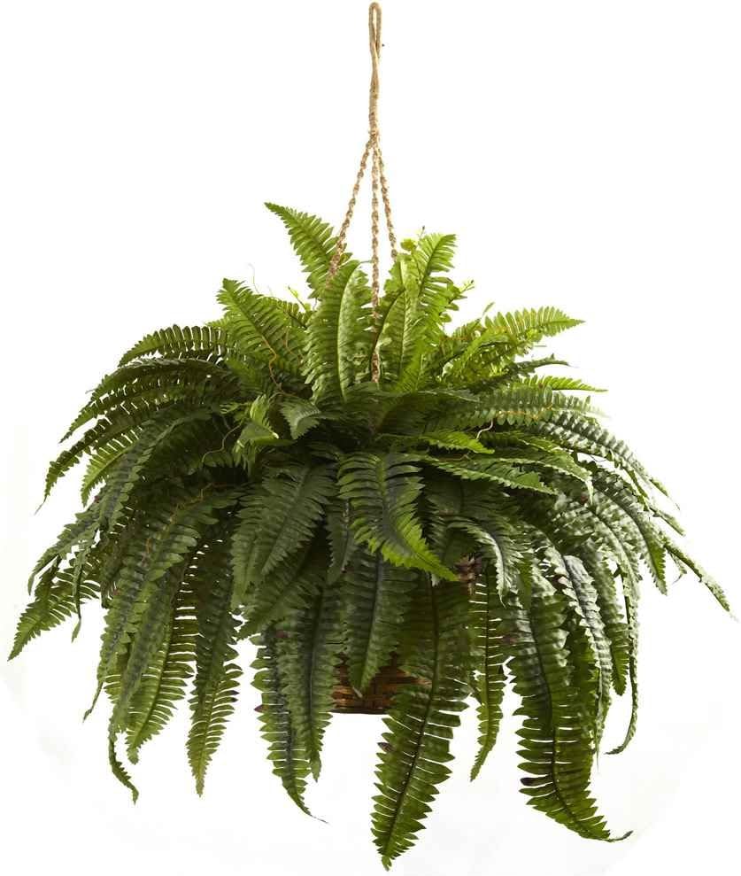 6788 Double Giant Boston Fern Hanging Basket,Green