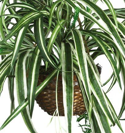 6607 Spider Hanging Basket Decorative Silk Plant, Green,10.25" x 10.25" x 17.5" No50