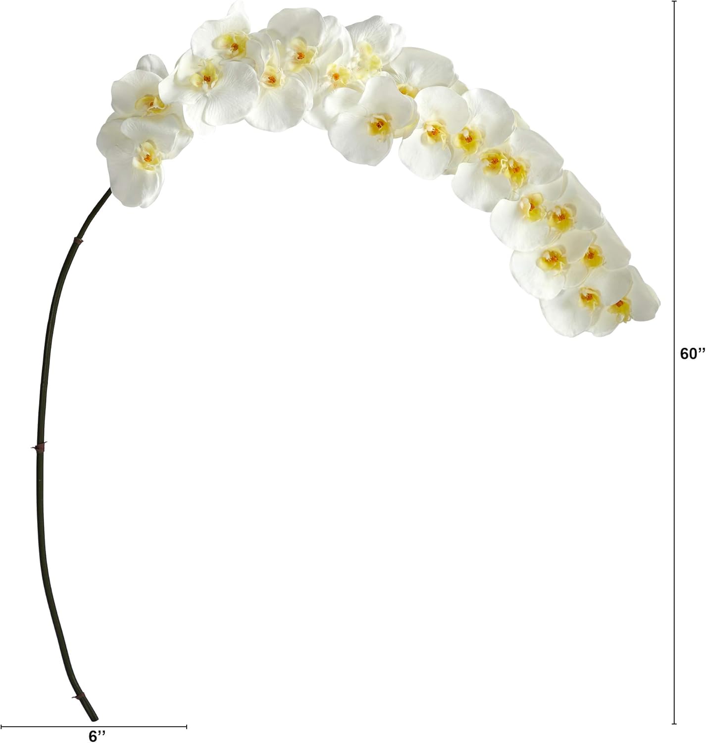 5ft. Large Phalaenopsis Orchid Artificial Flower (Set of 2) No50