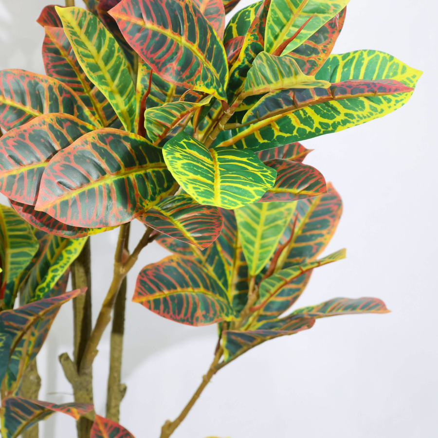 Ficus Pandurata (Croton) Artificiale 160cm con Foglie Variegate, Albero Finta in Vaso per Decorazione Casa e Negozio Natale