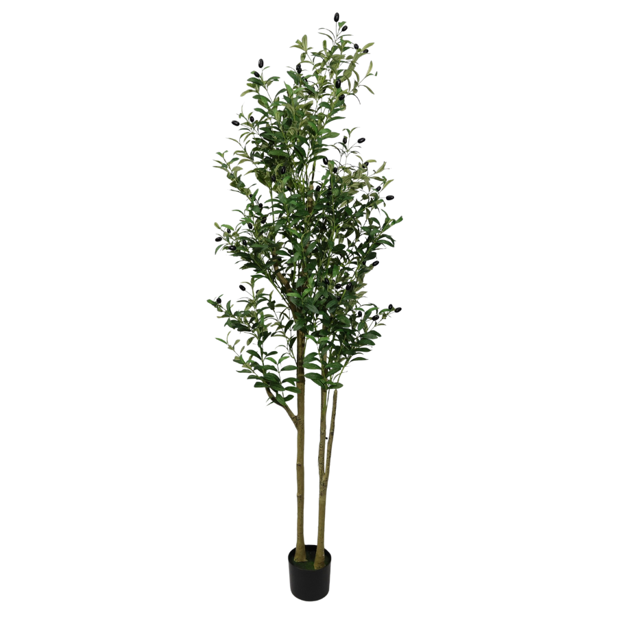 Olivo Artificiale Alto 180cm con Doppio Tronco e Frutti Finti Lussureggianti, Pianta Finta Verde in Vaso per Decorazione Casa Natale