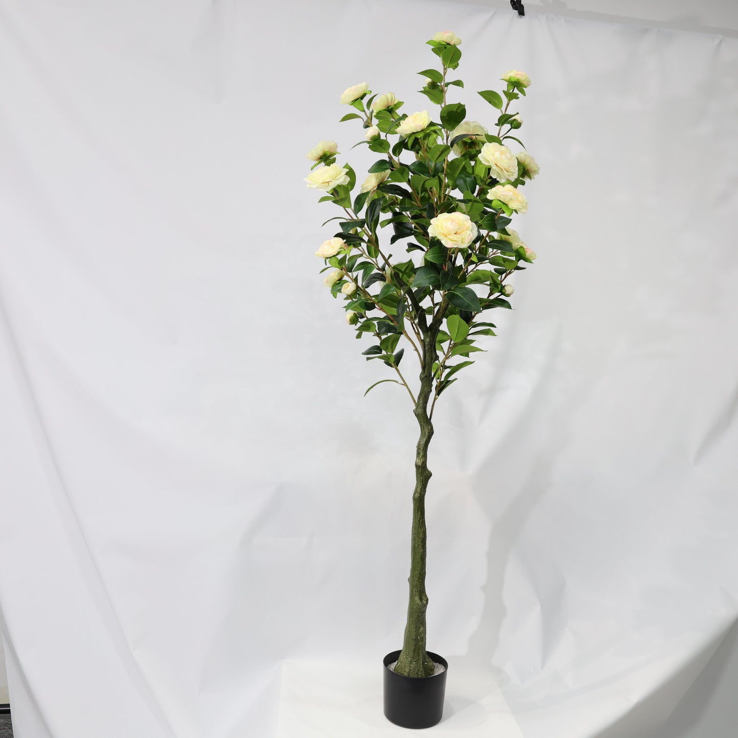 150cm Single-Stem Camellia Tree Champagne Blossoms Fixed Realistic Artificial Plant