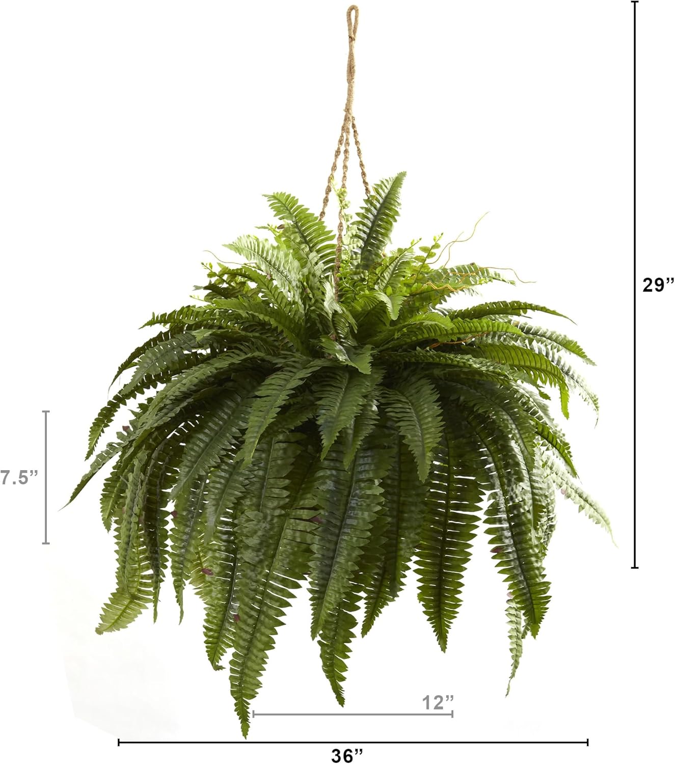 6788 Double Giant Boston Fern Hanging Basket,Green