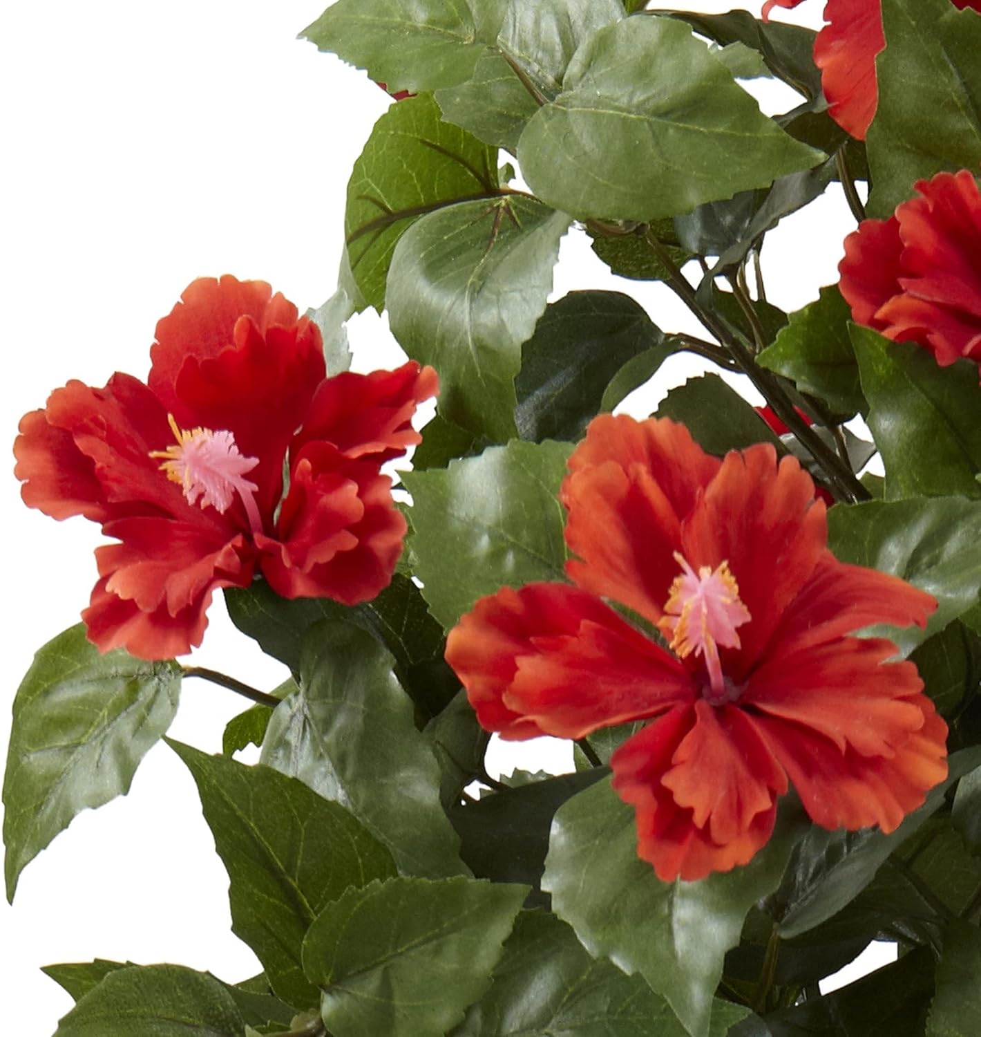 39in. Hibiscus Topiary