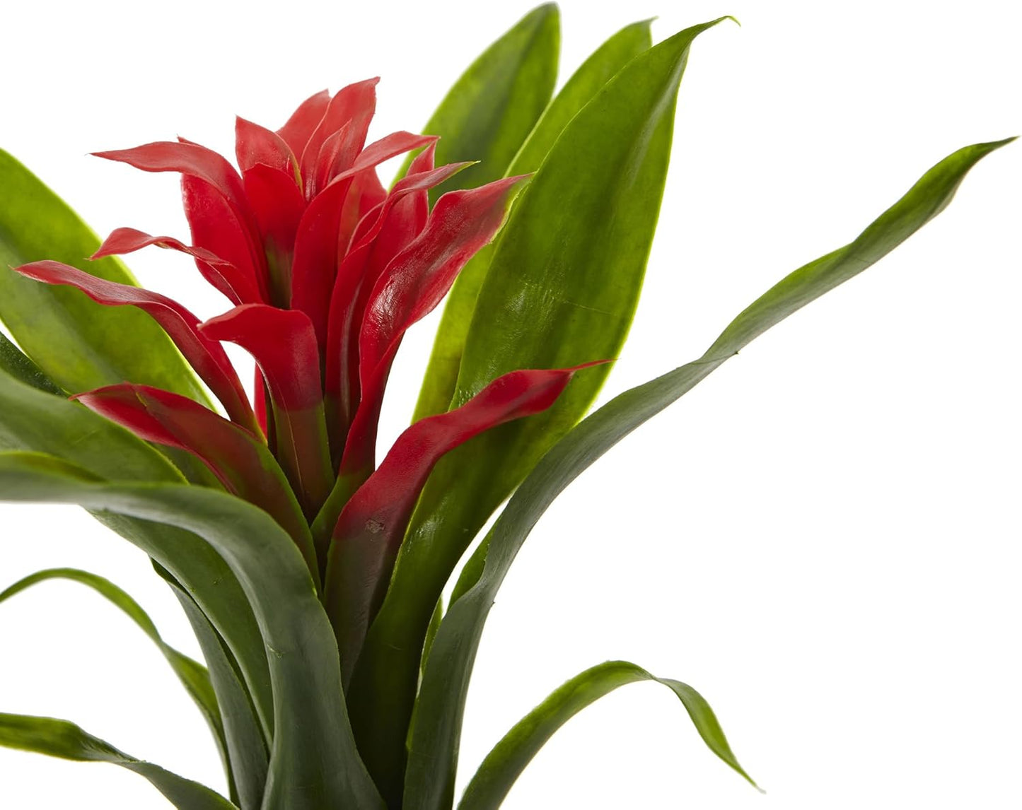 11in. Bromeliad Artificial Flower Stem, Set of 6 No50