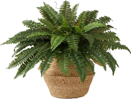 23in. Artificial Boston Fern Plant with Handmade Jute & Cotton Basket DIY KIT
