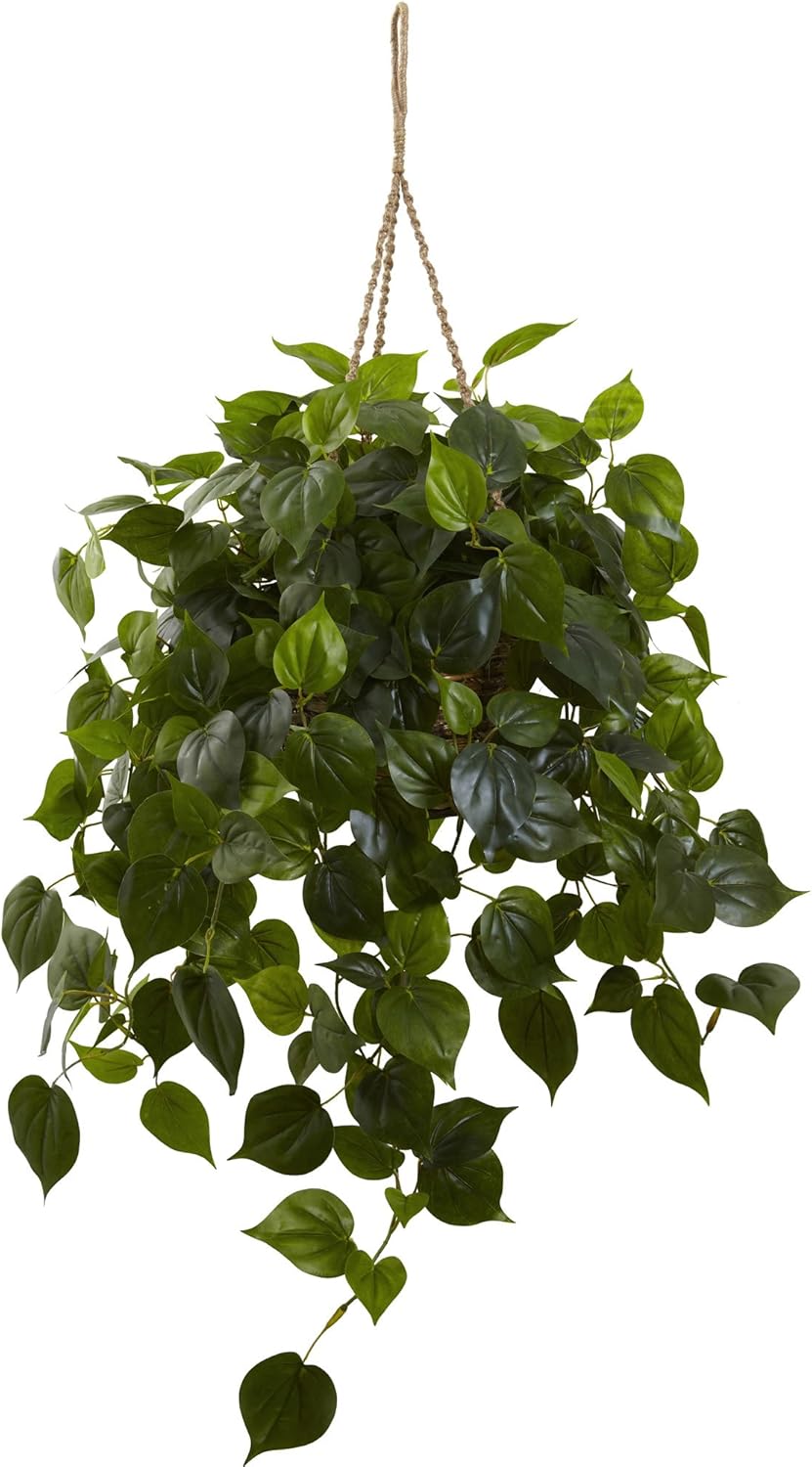 Philodendron Hanging Basket UV Resistant (Indoor/Outdoor)