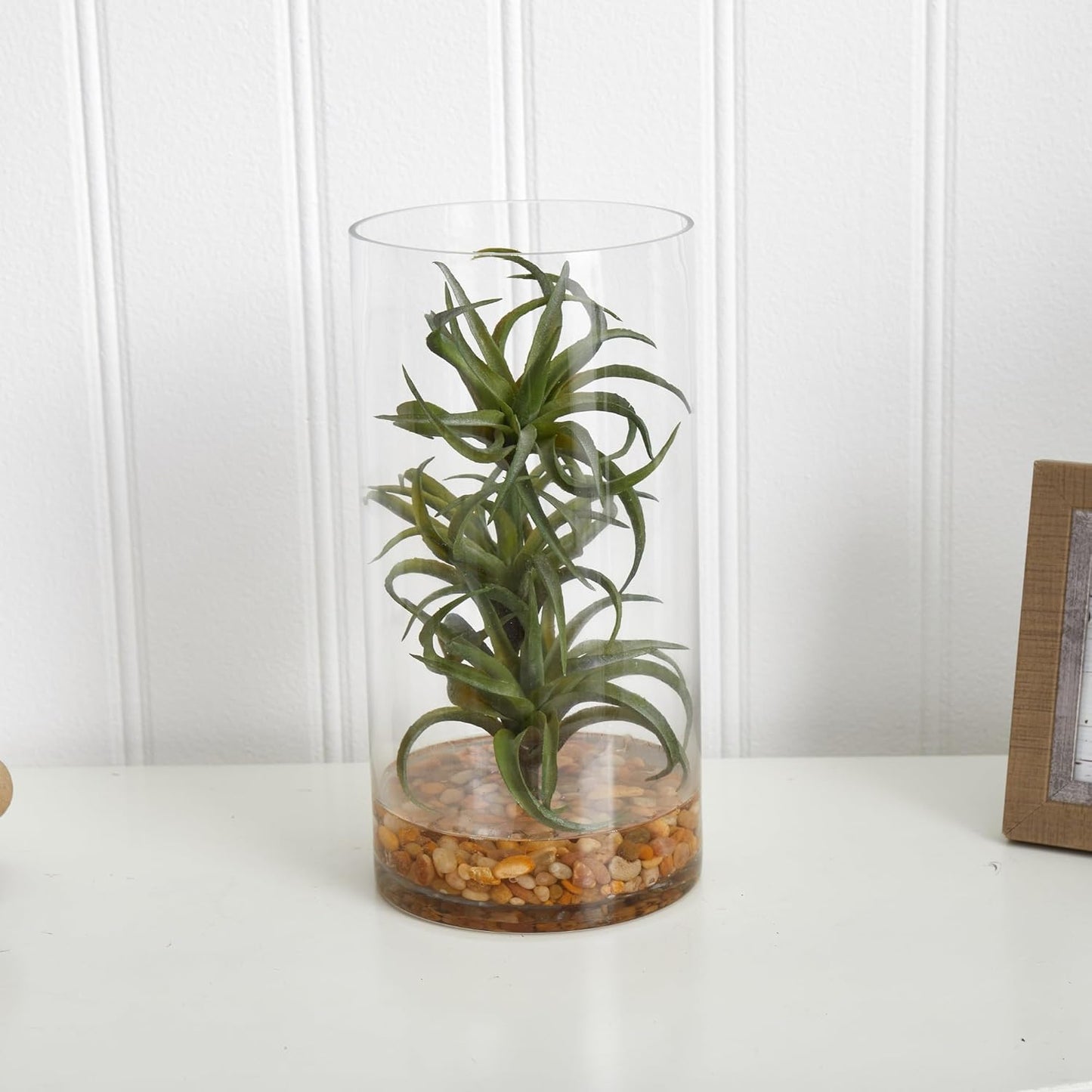 Air Plant Artificial Succulent in Glass Vase