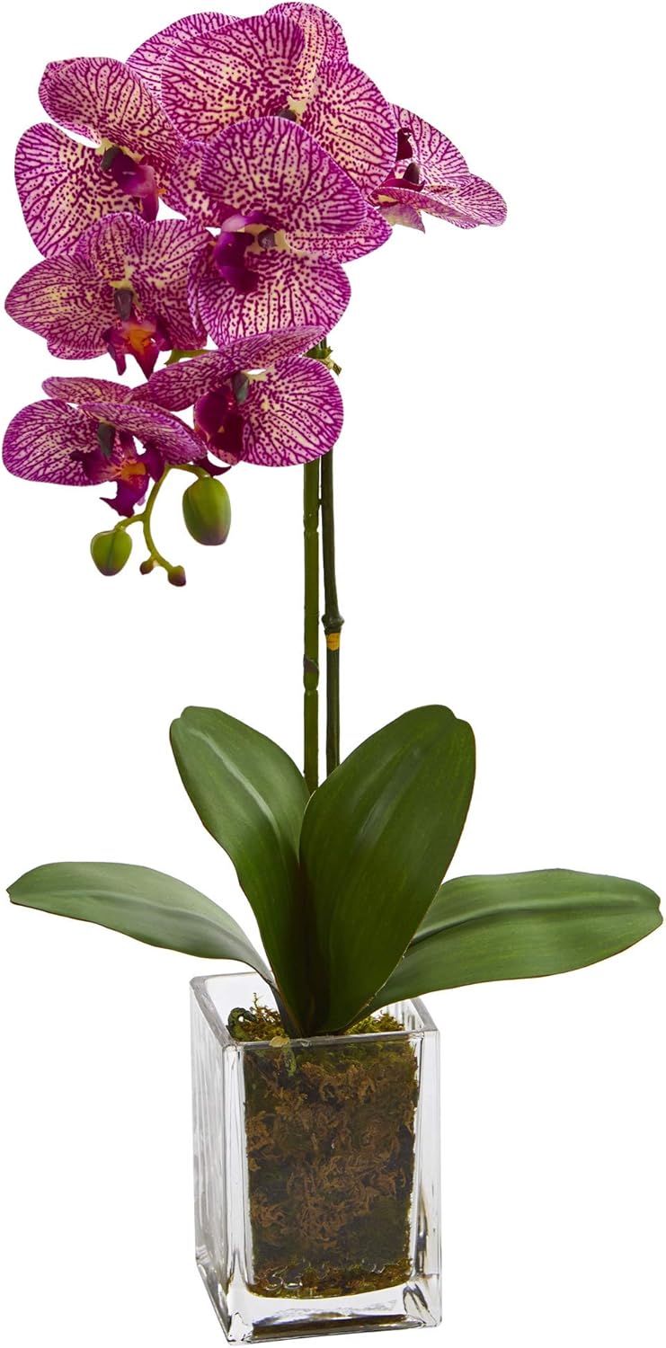 24-in. Orchid Phalaenopsis Artificial Vase Silk Arrangements, Cream No50