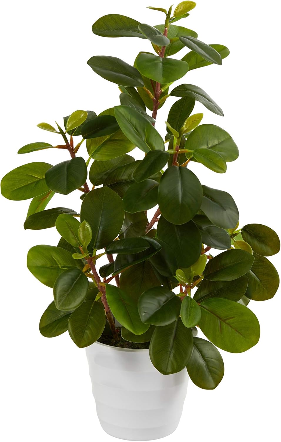16in. Peperomia Artificial Plant in Decorative Planter