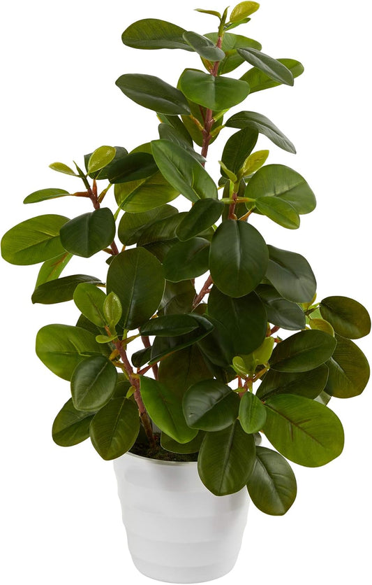 16in. Peperomia Artificial Plant in Decorative Planter