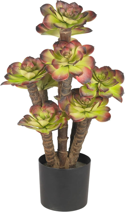 Echeveria Silk Plant,Green,30" x 9" x 7.5"