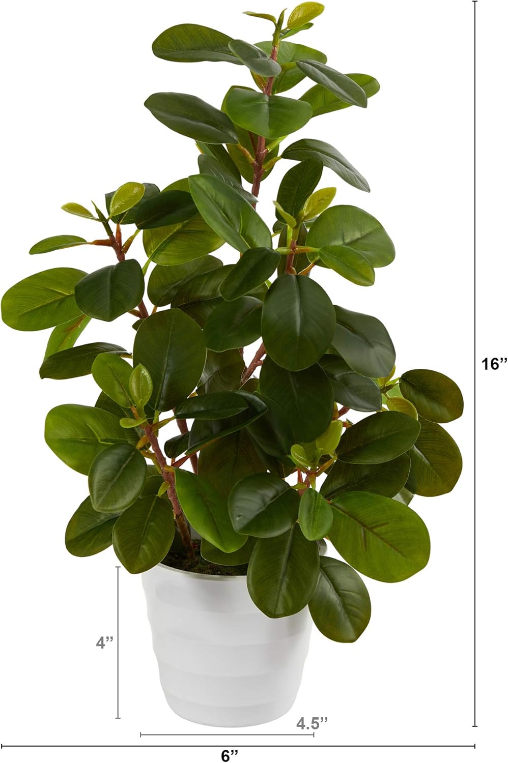 16in. Peperomia Artificial Plant in Decorative Planter