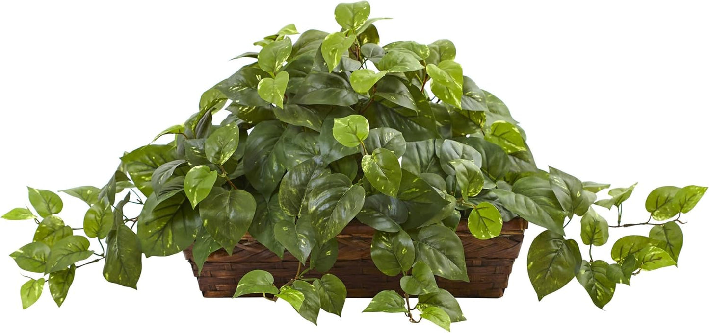 15in. Pothos Ledge Plant (Set on Foam) Silk Plant,Green Pothos with Ledge Basket, Green,34x18x15