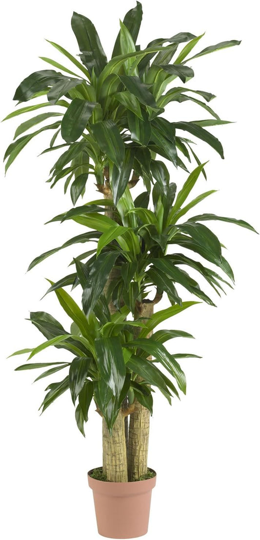 Nearly Natural 62IN Artificial Corn Stalk Dracaena Plant, Tall Fake Plant for Indoor Home Décor, Real Touch Faux Plant