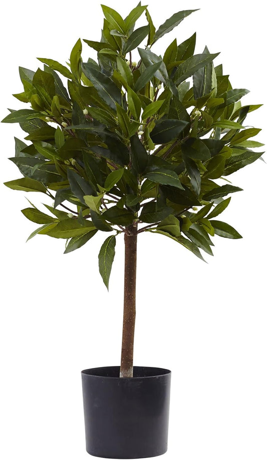 2ft. Sweet Bay Mini Ball Topiary