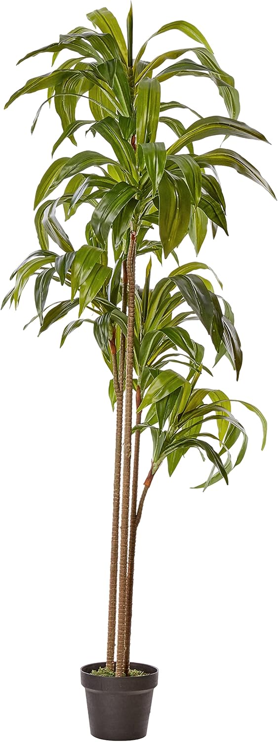 9ft. Artificial Dracaena Tree with Real Touch Leaves No50