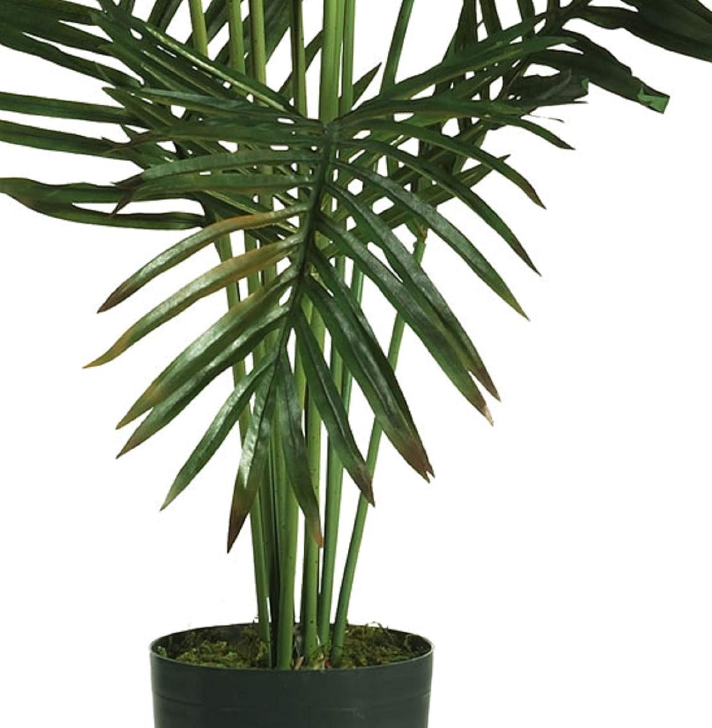 5FT Tall Artificial Paradise Palm Plant, Fake Palm Tree with 12 Trunks and Realistic Palm Leaves, Faux palm Tree for Indoor Home Décor
