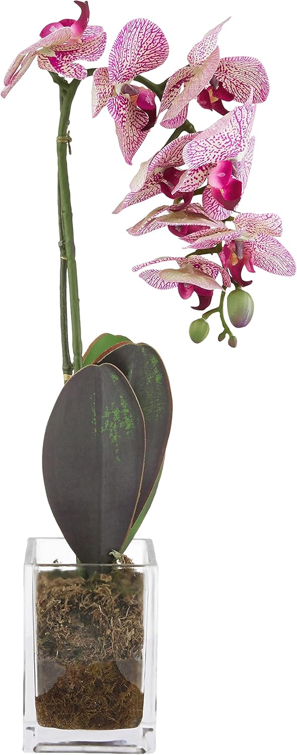 24-in. Orchid Phalaenopsis Artificial Vase Silk Arrangements, Cream No50