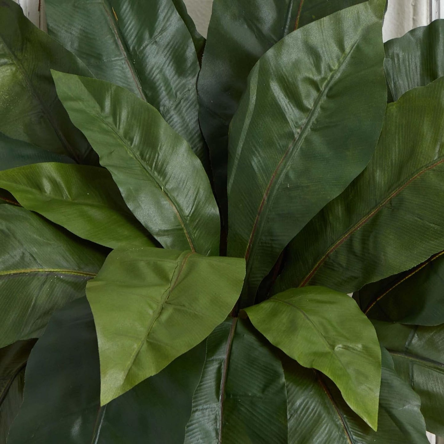 23” Bird’s Nest Fern (Set of 3) Artificial Plant, Green, 3 Count