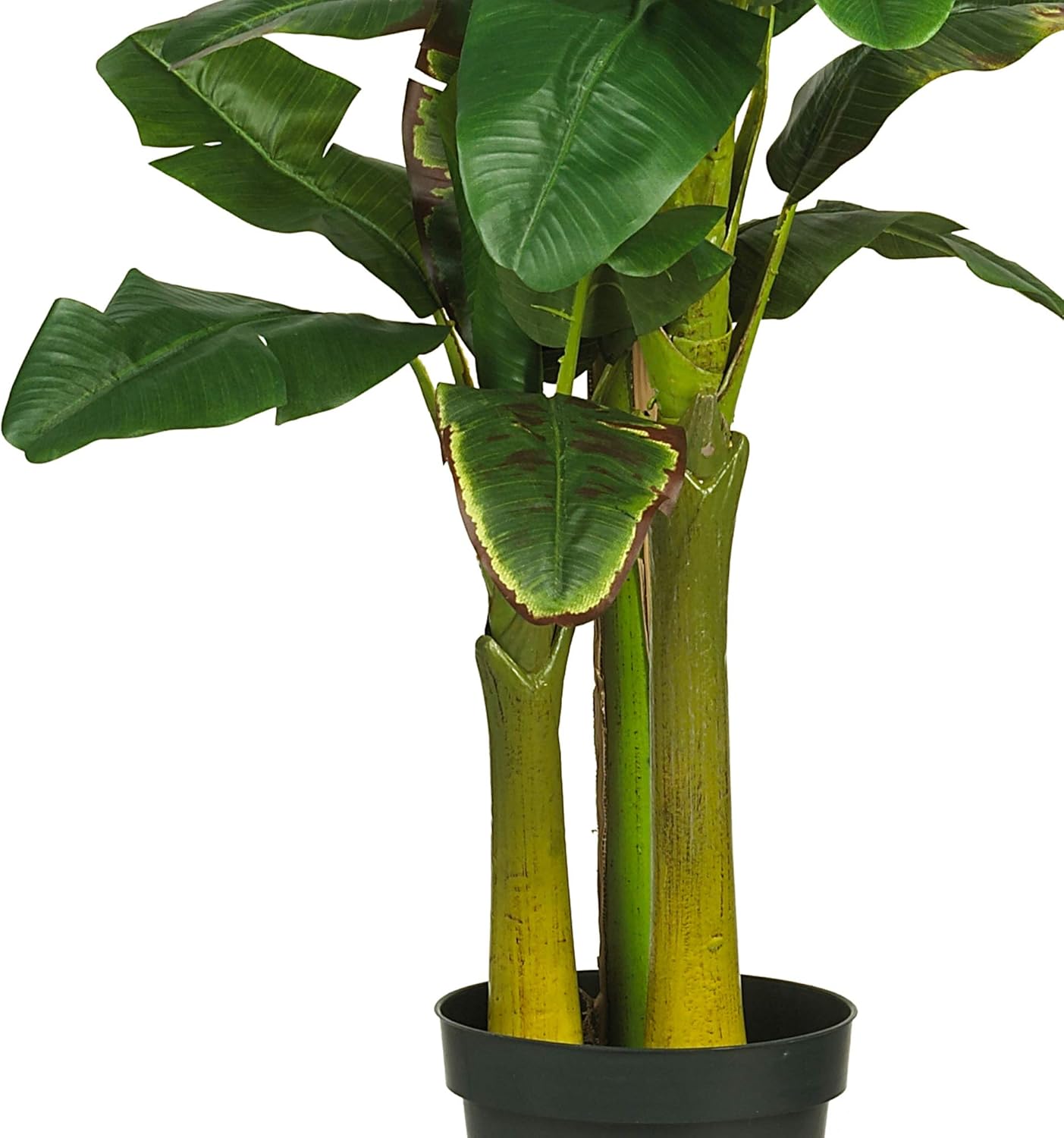 5226 6ft. Triple Stalk Banana Silk Tree , Green , 53.25" x 13" x 11.5"