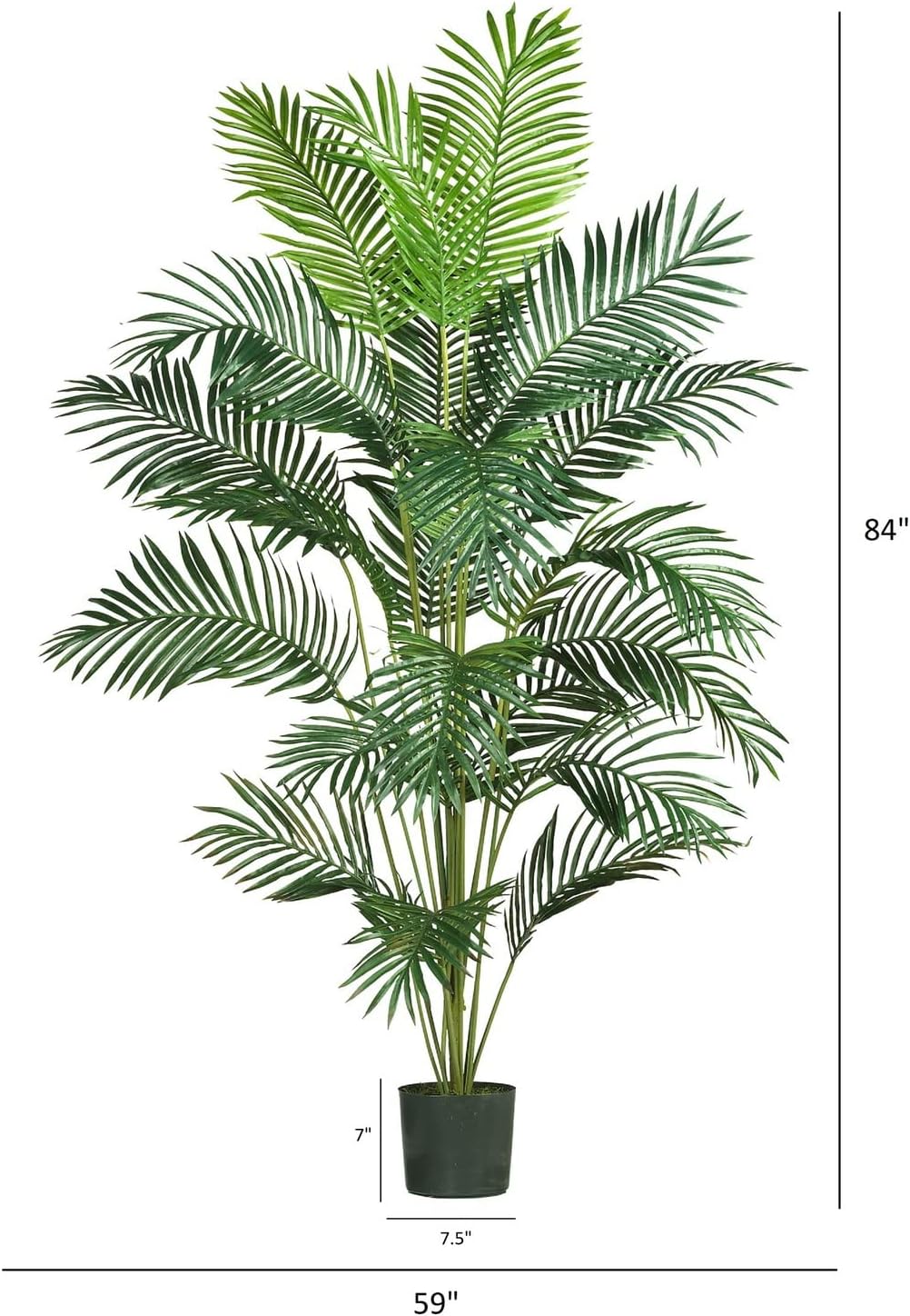 5261 7ft. Paradise Palm,Green