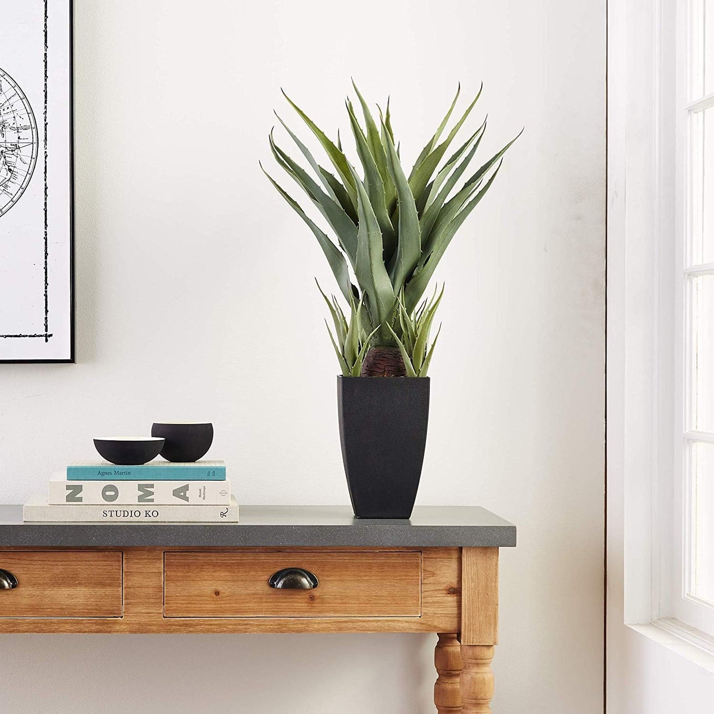 Agave with Black Planter