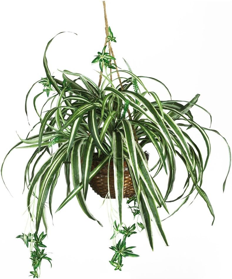 6607 Spider Hanging Basket Decorative Silk Plant, Green,10.25" x 10.25" x 17.5" No50