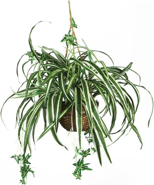 6607 Spider Hanging Basket Decorative Silk Plant, Green,10.25" x 10.25" x 17.5" No50