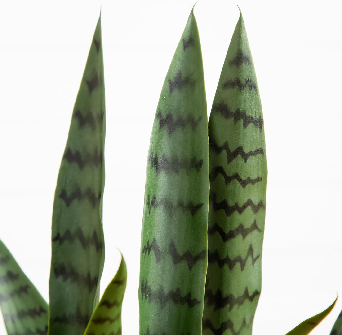 2-ft Artificial Snake Plant for Outdoors, Indoor/Outdoor UV Resistant Sansevieria, 24-in Faux Snake Plant for Outdoor Porch and Deck De