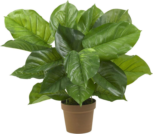 Large Leaf Philodendron Silk Plant (Real Touch) No50