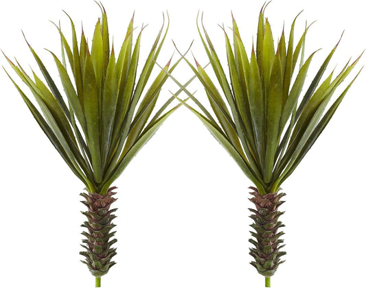 Spiky Agave Succulent Plant (Set of 2)