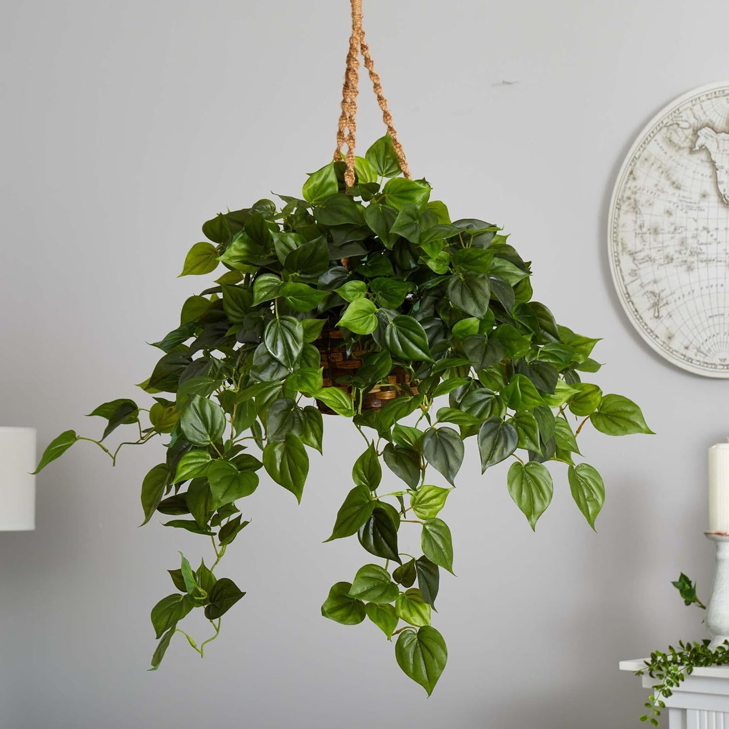 Philodendron Hanging Basket UV Resistant (Indoor/Outdoor)