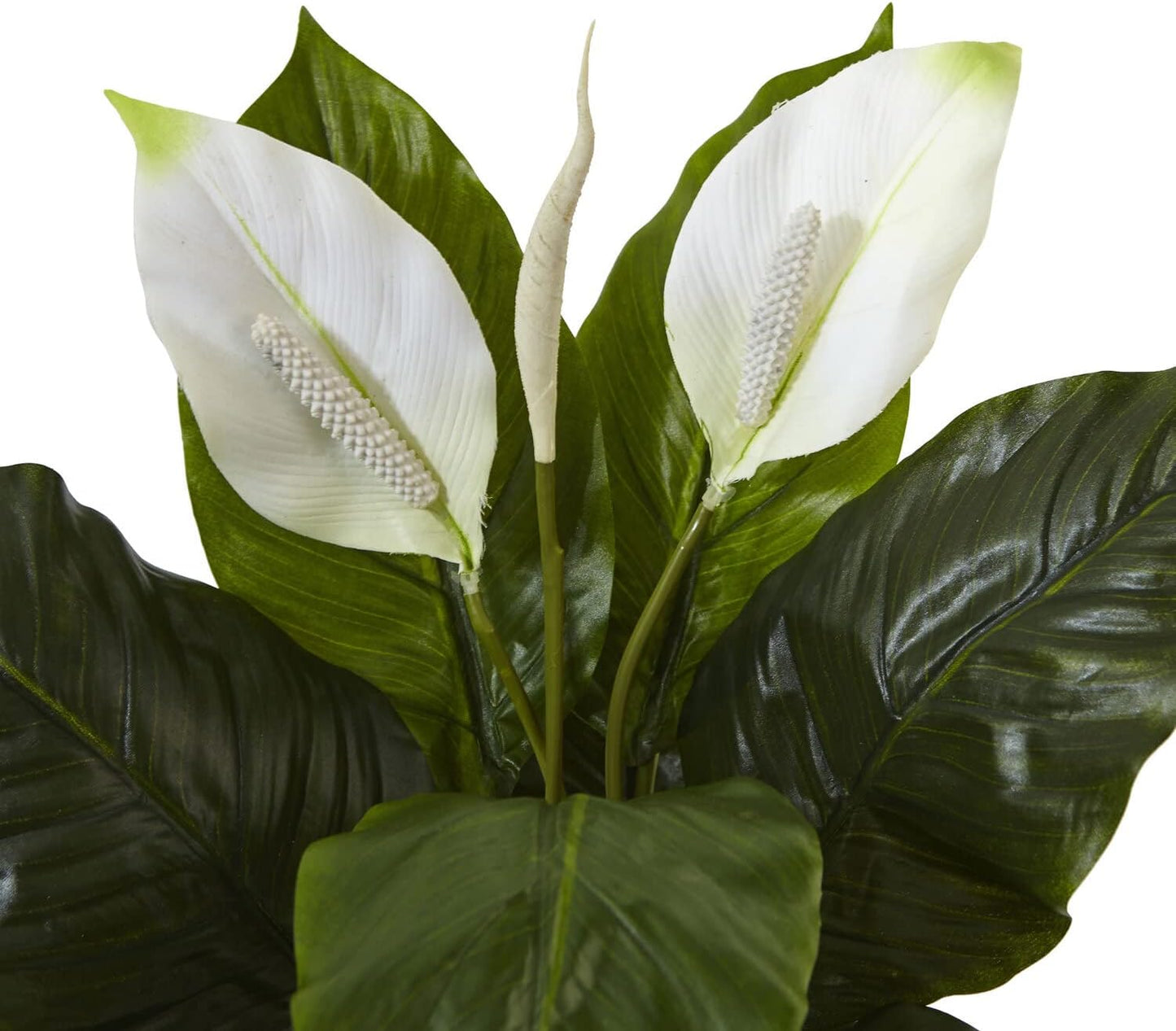 Spathiphyllum Artificial Flowering Peace Lily in Glossy Glass Planter