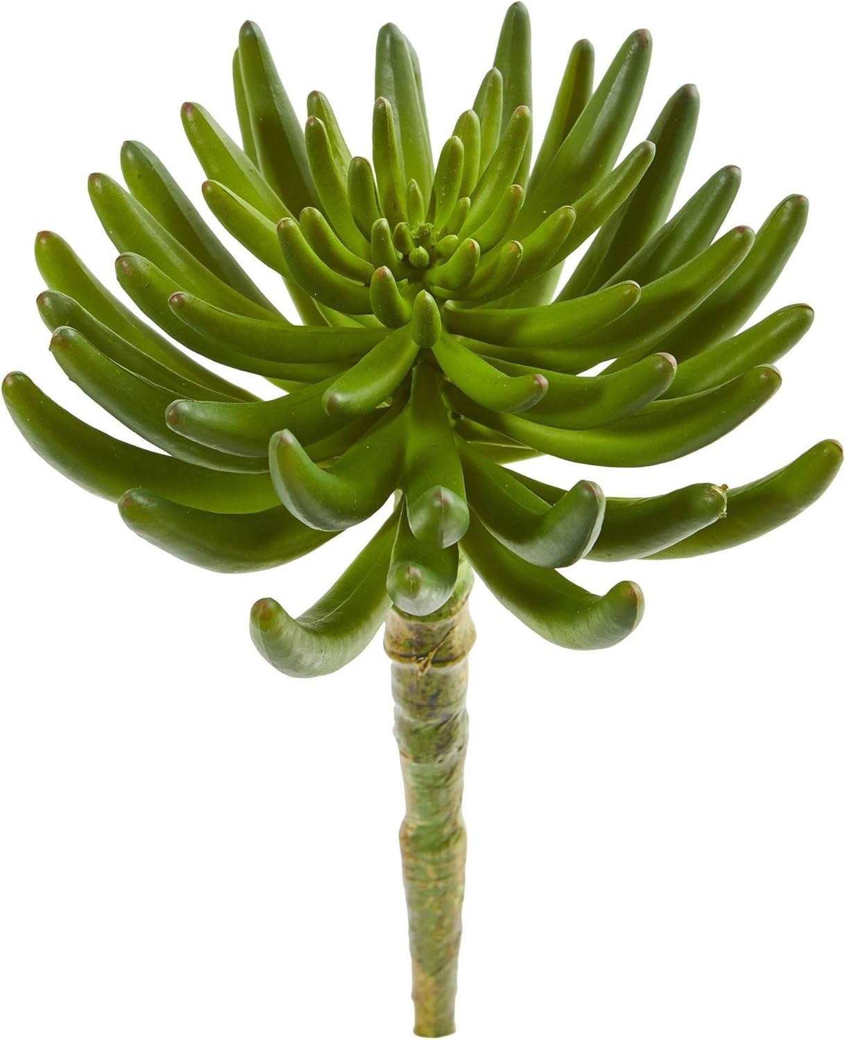 12-in. Succulent Artificial (Set of 6) Silk Plants, Green