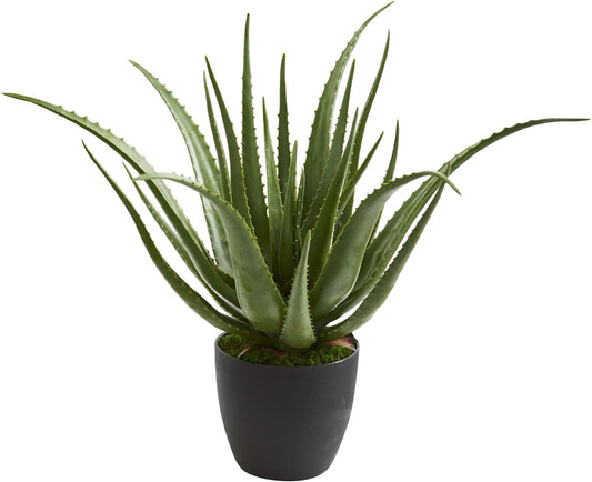 Aloe Artificial Plant