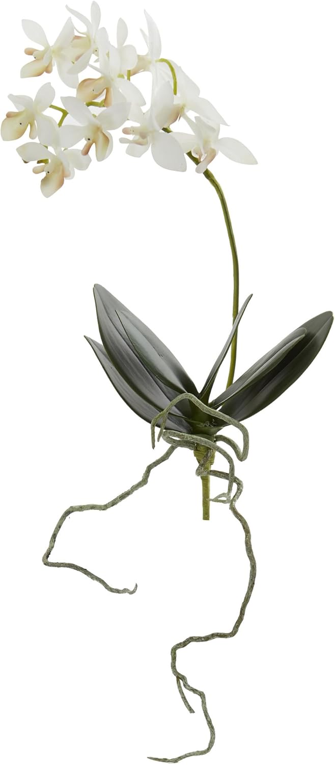 13 in. Mini Orchid Phalaenopsis Artificial (Set of 6) Silk Flowers, White