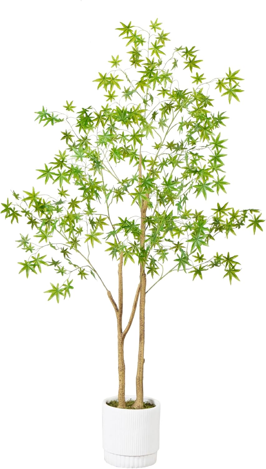 6ft. Artificial Maple Tree with White Planter
