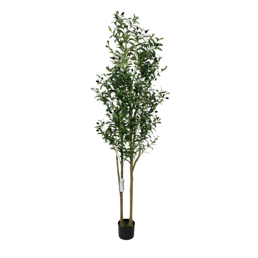 Olivo Artificiale Alto 180cm con Doppio Tronco e Frutti Finti Lussureggianti, Pianta Finta Verde in Vaso per Decorazione Casa Natale