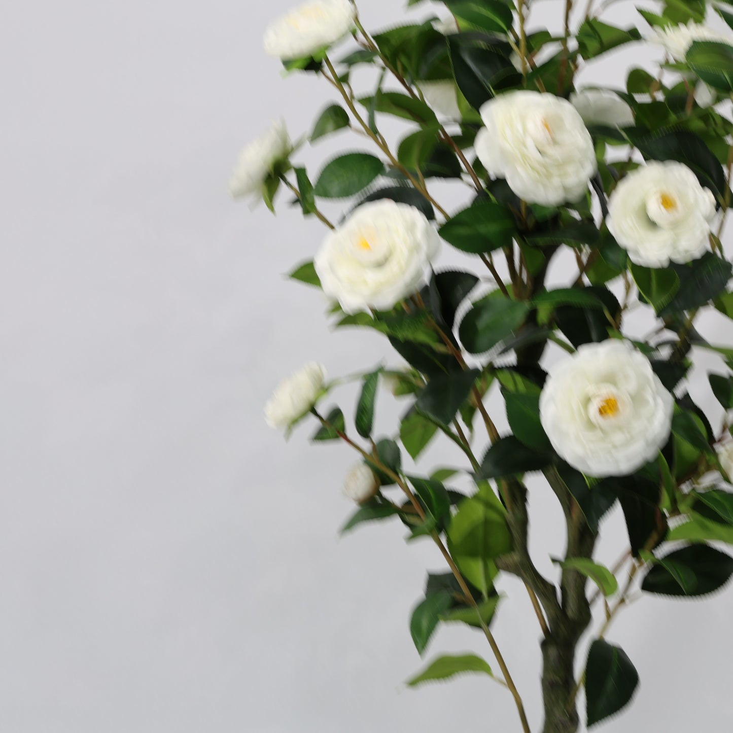 150cm Artificial Camellia Tree White Blooms Non-Detachable Faux Plant
