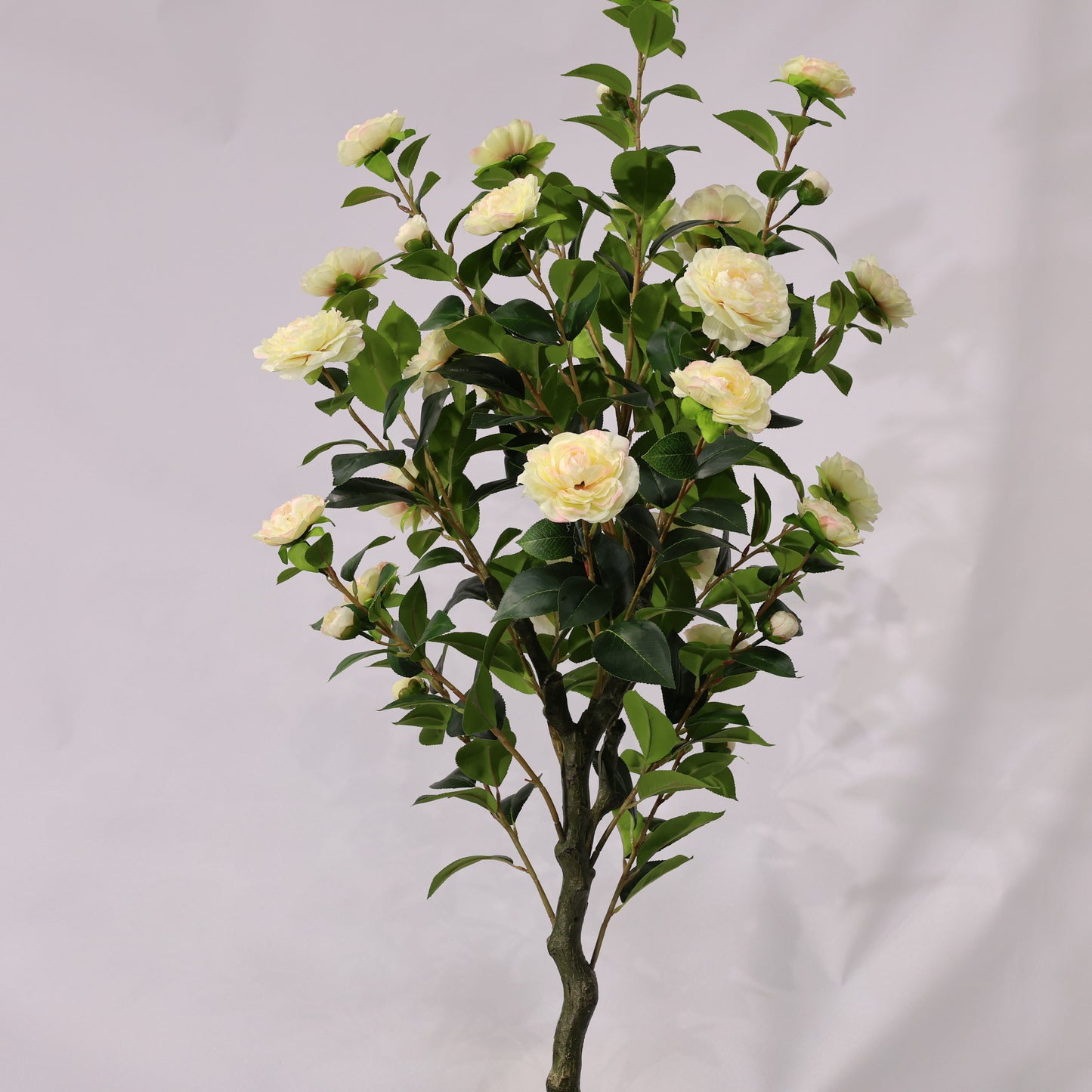 150cm Single-Stem Camellia Tree Champagne Blossoms Fixed Realistic Artificial Plant