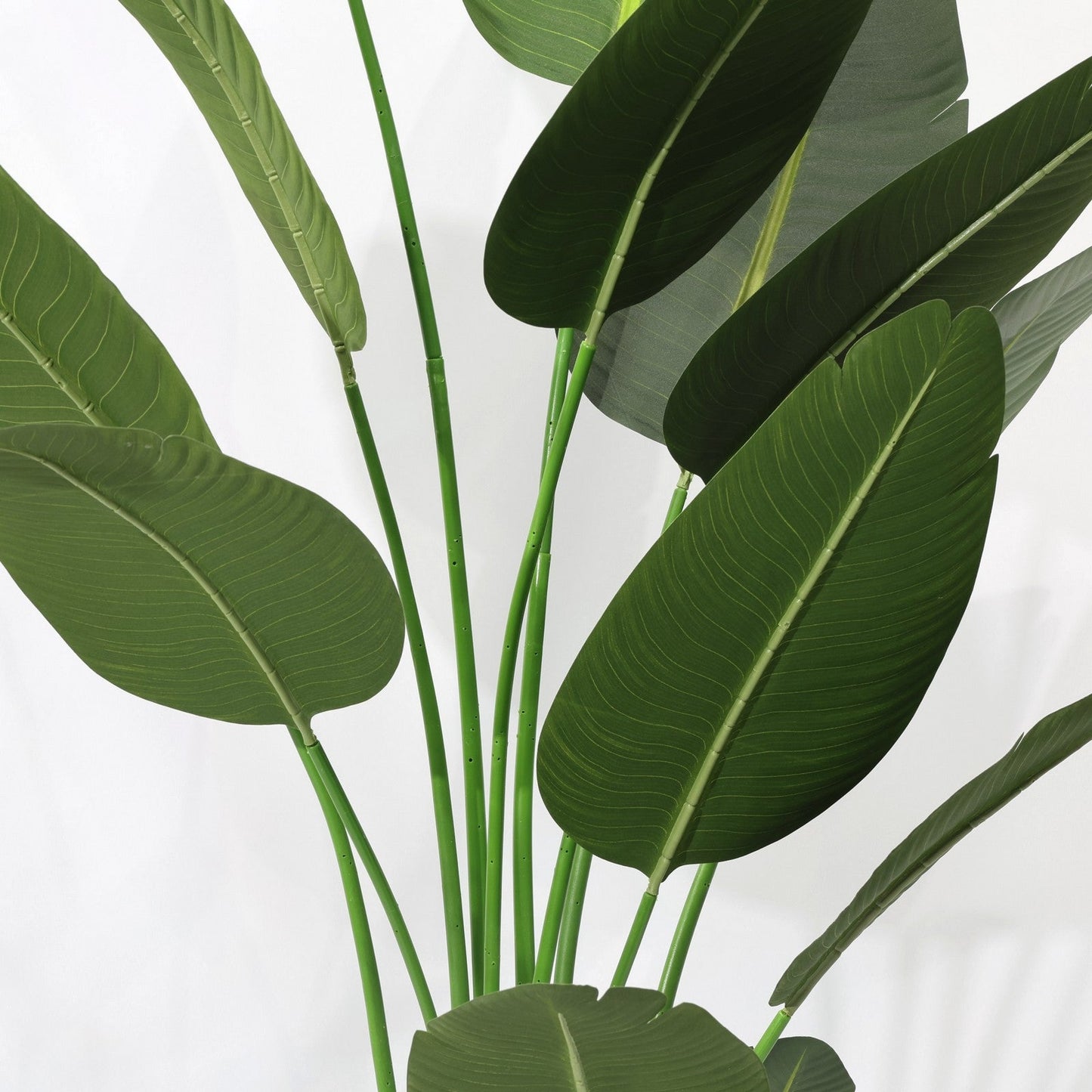Τεχνητή Strelitzia Reginae 180cm με μεγάλα σκούρα πράσινα φύλλα, αφαιρούμενο τροπικό ψεύτικο δέντρο χριστουγεννιάτικες διακοσμήσεις καταστημάτων