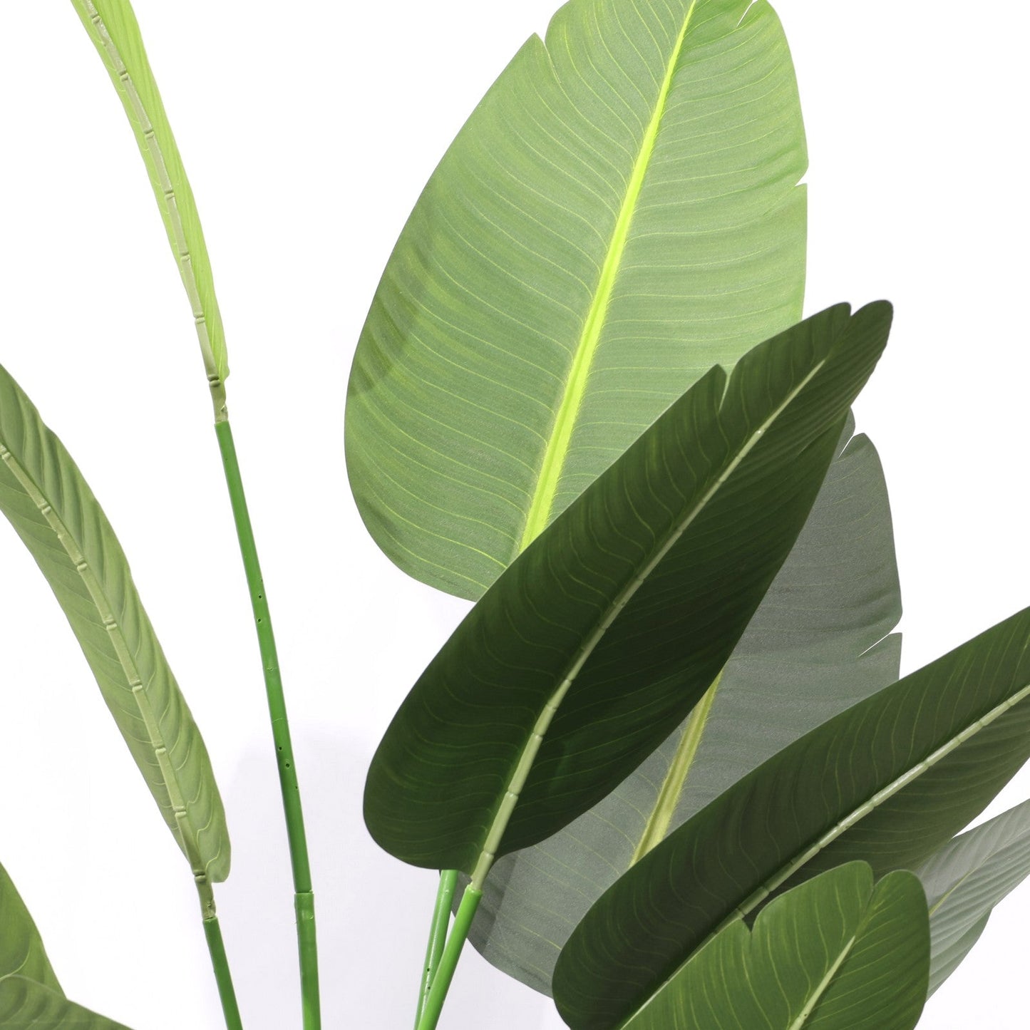Τεχνητή Strelitzia Reginae 180cm με μεγάλα σκούρα πράσινα φύλλα, αφαιρούμενο τροπικό ψεύτικο δέντρο χριστουγεννιάτικες διακοσμήσεις καταστημάτων