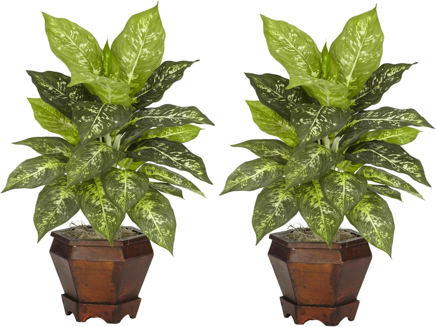 Dieffenbachia with Wood Vase Silk Plant (Set of 2) No50