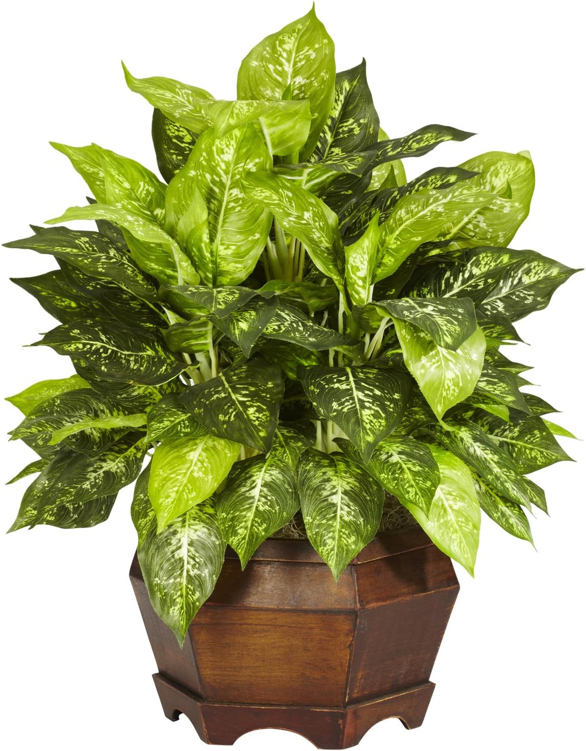 Dieffenbachia with Wood Vase Silk Plant (Set of 2) No50