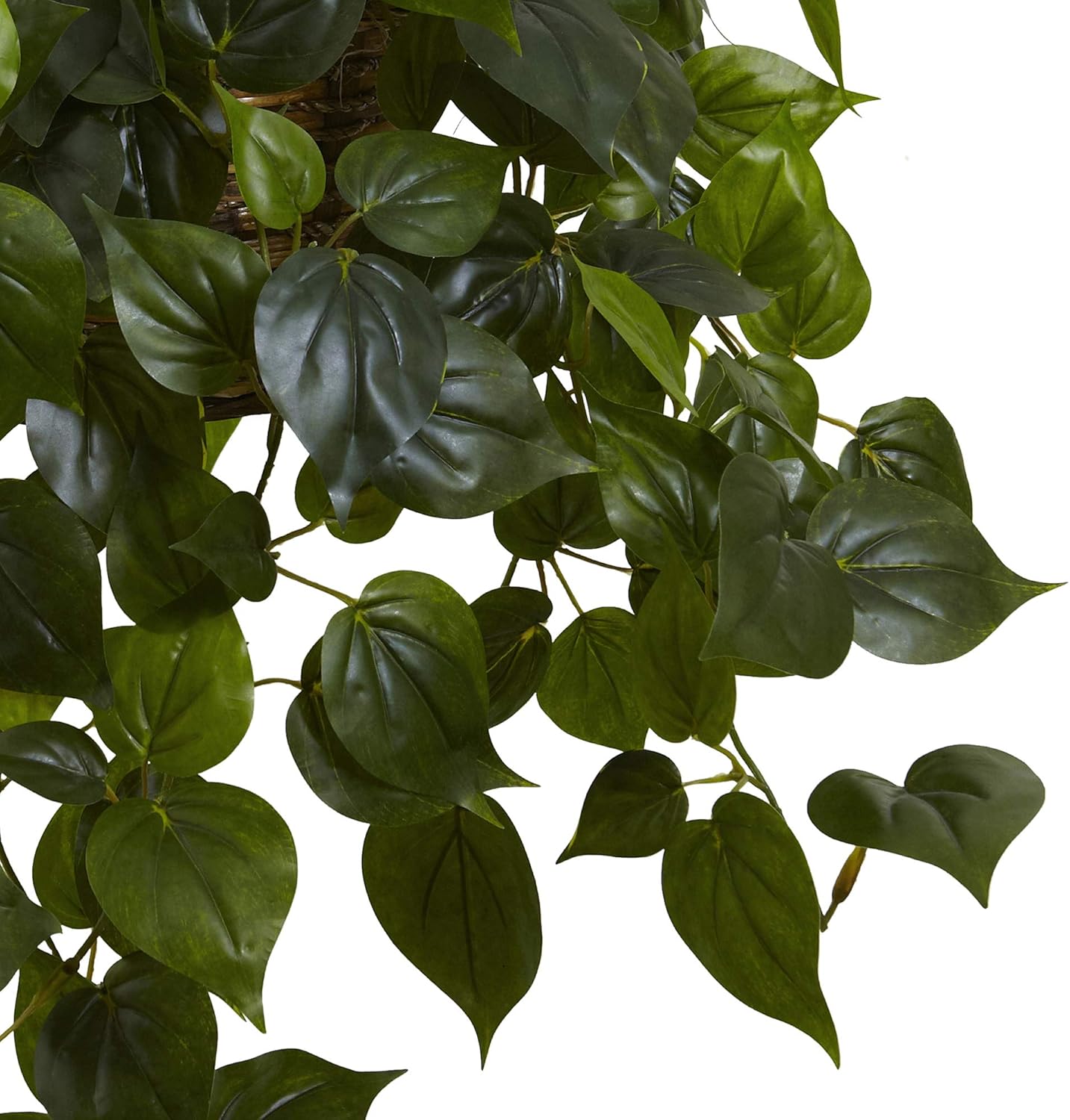 Philodendron Hanging Basket UV Resistant (Indoor/Outdoor)