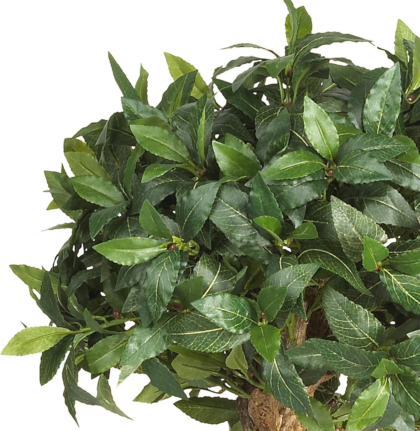 4ft. Sweet Bay Double Ball Topiary Silk Tree