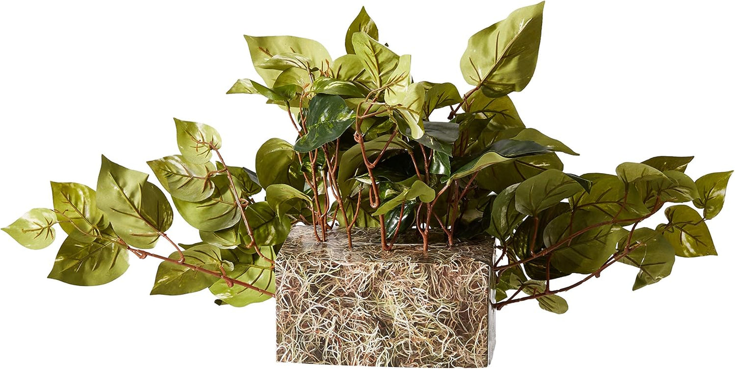 15in. Pothos Ledge Plant (Set on Foam) Silk Plant,Green Pothos with Ledge Basket, Green,34x18x15